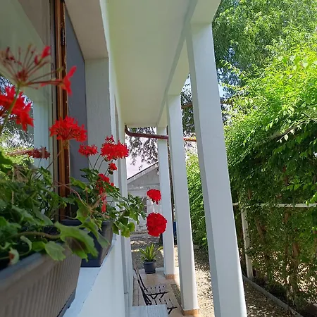 Almaville Mamaia Guest house
