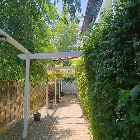 Guest house Almaville Mamaia