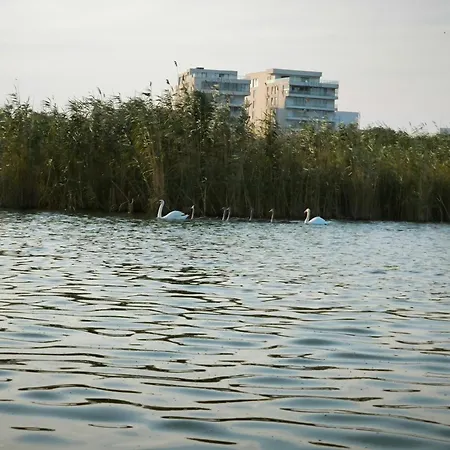Almaville Mamaia 3*