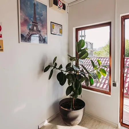 Guest house Almaville Mamaia Navodari