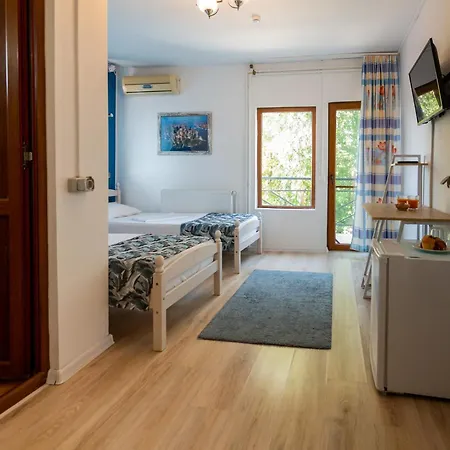 Guest house Almaville Mamaia 3*