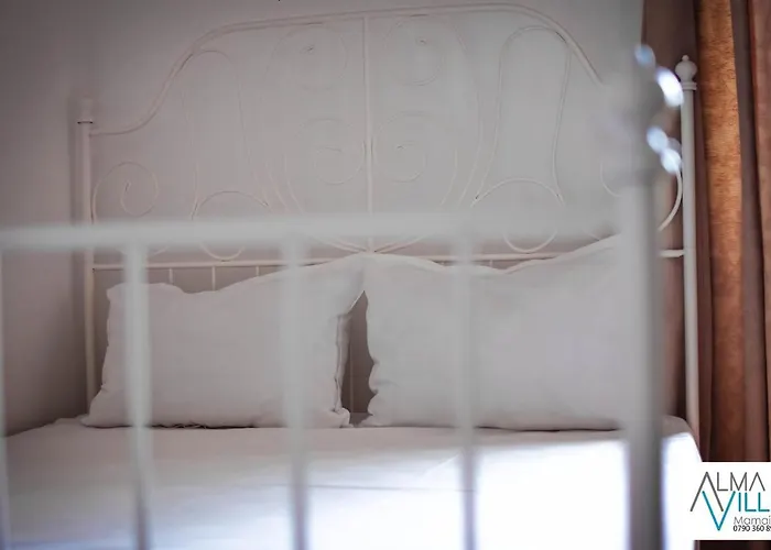 Maison d'hôtes Almaville Mamaia 3*